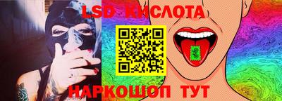 ПСИЛОЦИБИНОВЫЕ ГРИБЫ Кимры