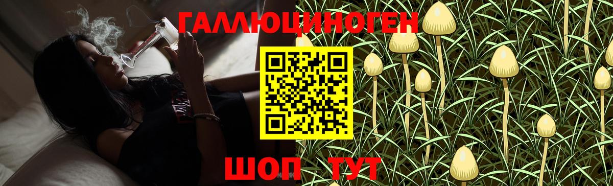 дарнет шоп  Вход с VPN  Верхняя Пышма  Псилоцибиновые грибы Magic Shrooms 