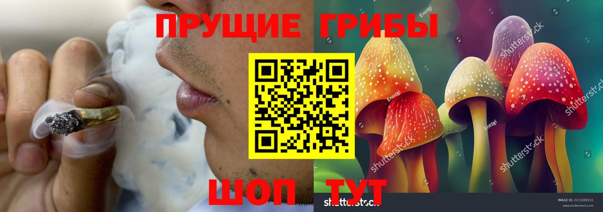 Псилоцибиновые грибы Cubensis Верхняя Пышма